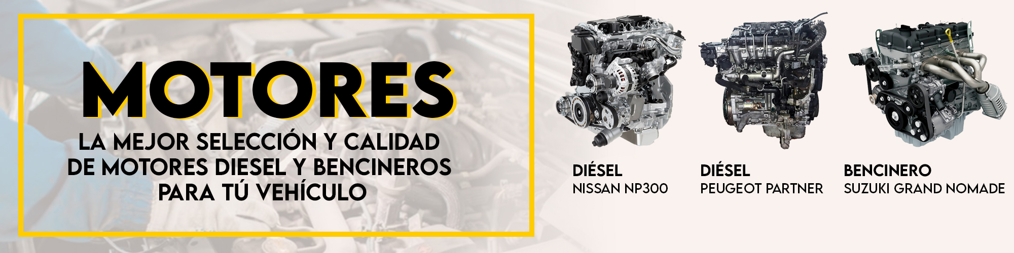 La mayor variedad de motores diesel y bencineros